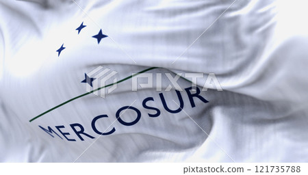Close-up of Mercosur flag waving in the wind 121735788