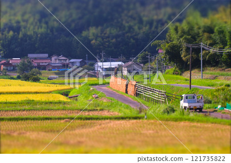 Rice fields and hanging ornaments, a nostalgic rural landscape Rice fields and hanging ornaments, a nostalgic rural landscape 121735822