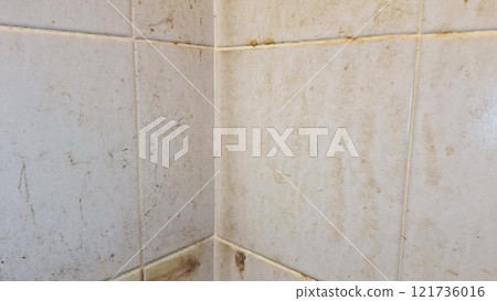 Accumulated dirt on the walls and floor in the bathroom. 121736016