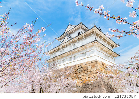 Hiroshima: Cherry blossoms in full bloom at Fukuyama Castle Fushimi Tower Hiroshima: Cherry blossoms in full bloom at Fukuyama Castle Fushimi Tower 121736097