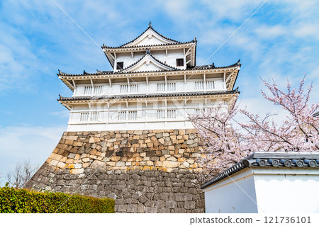 Hiroshima: Cherry blossoms in full bloom at Fukuyama Castle Fushimi Tower Hiroshima: Cherry blossoms in full bloom at Fukuyama Castle Fushimi Tower 121736101