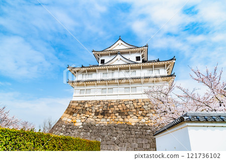 Hiroshima: Cherry blossoms in full bloom at Fukuyama Castle Fushimi Tower 121736102