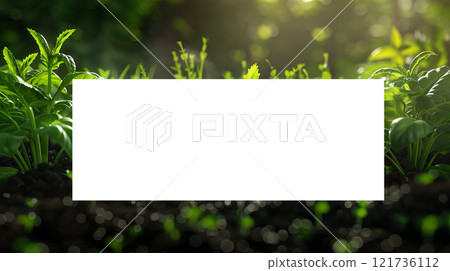 Rows of fresh herbs thrive in a well-tended garden as golden sunlight filters through the greenery, creating a lively and tranquil atmosphere 121736112