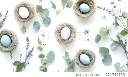White and blue robin eggs rest in small nests, arranged in a circular pattern with lavender and eucalyptus, creating a serene springtime ambiance 121736133