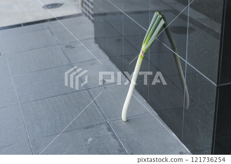 遺失物品:一根支撐的蔥 遺失物品:一根支撐的蔥 121736254