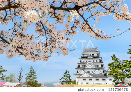 廣島櫻花盛開的福山城天守閣 廣島櫻花盛開的福山城天守閣 121736478