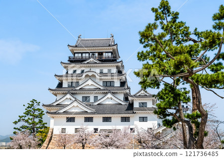廣島櫻花盛開的福山城天守閣 廣島櫻花盛開的福山城天守閣 121736485