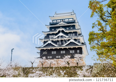Hiroshima: Cherry blossoms in full bloom at Fukuyama Castle, castle tower (iron-plated north side) 121736711