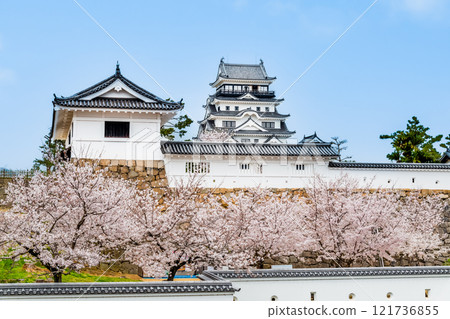 櫻花盛開的廣島福山城、天守閣和筋鐵門（從福山站出發） 121736855