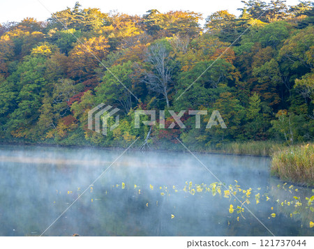 Lake Hachimantai in the early morning (Kazuno, Akita Prefecture) 121737044