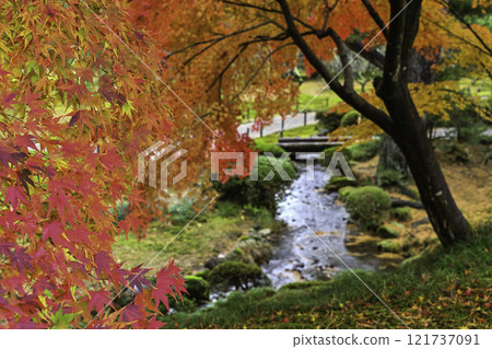 秋葉美麗的兼六園 秋葉美麗的兼六園 121737091