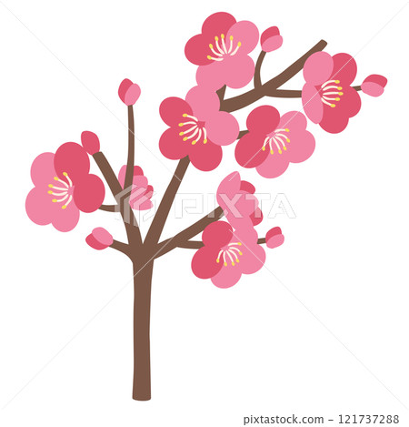 Plum vector illustration Plum vector illustration 121737288