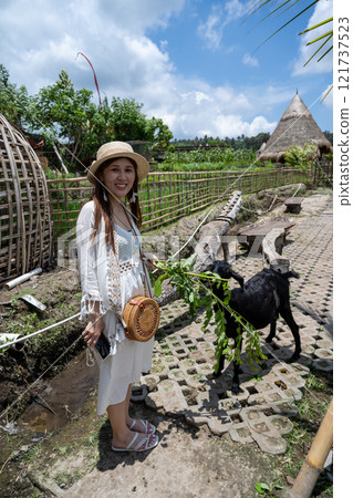 印尼峇裡島2024年農村餐廳景觀餵養山羊 121737523