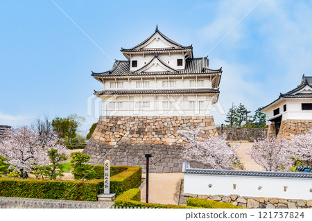 Hiroshima: Cherry blossoms blooming at Fukuyama Castle Fushimi Tower Hiroshima: Cherry blossoms blooming at Fukuyama Castle Fushimi Tower 121737824