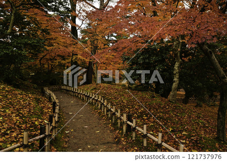 秋葉美麗的兼六園 秋葉美麗的兼六園 121737976