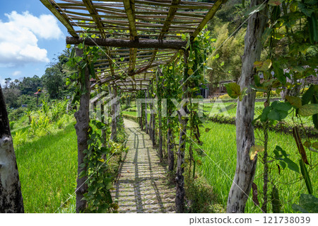 Bali, Indonesia - October 22, 2024: Bamboo and rattan tunnel at Maha Gangga Valley restaurant 121738039