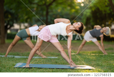 Sporty energetic females doing exercises on pilates mat during group training in park at daytime. Fitness concept 121738315