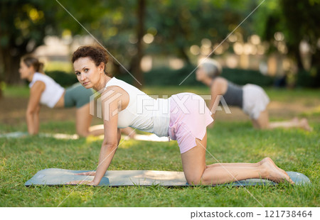 Woman doing Cat Cow Stretch at outdoor group yoga class Woman doing Cat Cow Stretch at outdoor group yoga class 121738464