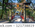 Torii gates and autumn leaves at Munakata Shrine, a branch shrine of Hikawa Shrine, Ichinomiya, Musashi Province 121738819