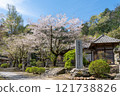 Cherry blossoms in the grounds of Iwadono Kannon Temple 121738826