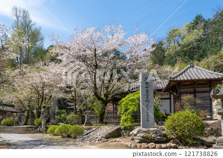 岩殿觀音境內的櫻花 岩殿觀音境內的櫻花 121738826