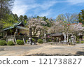 Cherry blossoms in the grounds of Iwadono Kannon Temple 121738827