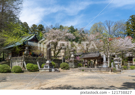 岩殿觀音境內的櫻花 岩殿觀音境內的櫻花 121738827