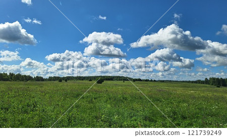 Expansive green meadow under a blue sky with fluffy clouds 121739249