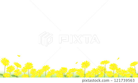 Dandelion background illustration 121739563