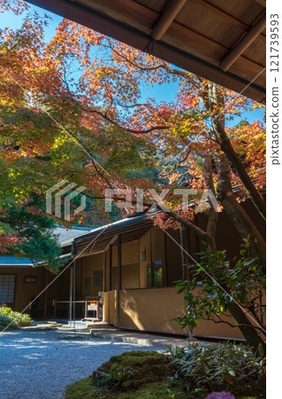 Kamakura in autumn: Ichijo Ekan Sanso Kamakura in autumn: Ichijo Ekan Sanso 121739593