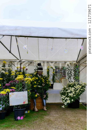 菊花展：秋季傳統「菊花人偶·菊花祭」 菊池市故鄉創建市民廣場 121739671