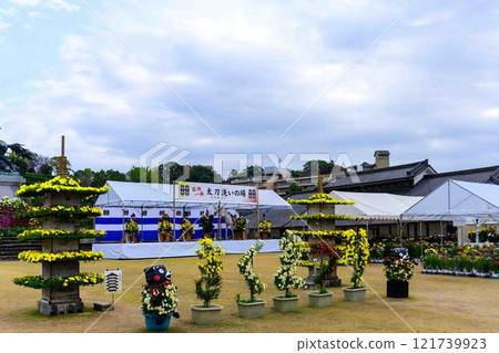 Chrysanthemums: A seasonal feature of autumn: "Chrysanthemum Dolls and Chrysanthemum Festival" at Kikuchi City Hometown Creation Civic Square Chrysanthemums: A seasonal feature of autumn: "Chrysanthemum Dolls and Chrysanthemum Festival" at Kikuchi City Hometown Creation Civic Square 121739923