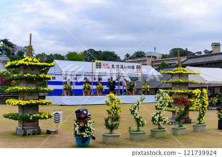 Chrysanthemums: A seasonal feature of autumn: "Chrysanthemum Dolls and Chrysanthemum Festival" at Kikuchi City Hometown Creation Civic Square 121739924