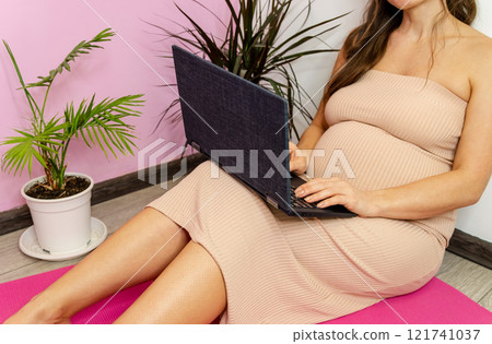Pregnant Woman Using Laptop at Home 121741037