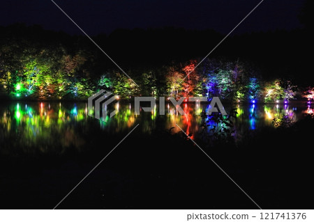 觀沼森林公園 紅葉彩燈 觀沼森林公園 紅葉彩燈 121741376