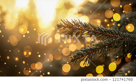 雪覆蓋的松枝在金色的光芒中閃閃發光的特寫 121741760