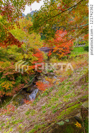 Autumn leaves and mountain stream 121742362