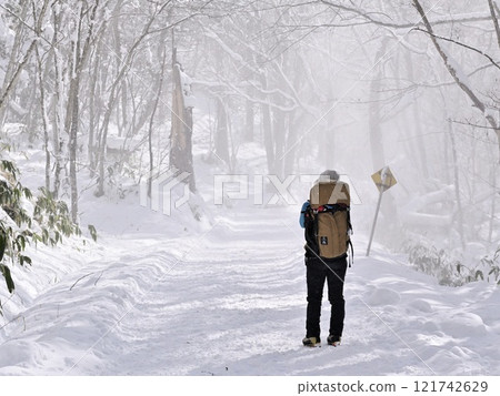 White Forest White Forest 121742629