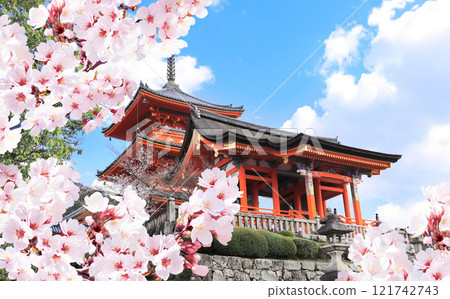 Ancient pavilion and blooming sakura branches, Kiyomizu-dera Temple (Clean Water Temple). Spring time in Kyoto, Japan. Sakura blossom season. Cherry blossoming season in Asia. Japanese hanami festival 121742743