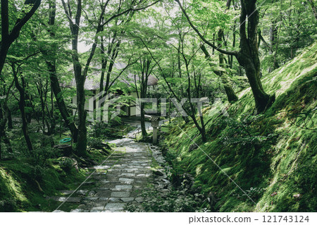 Temple of the fresh green Temple of the fresh green 121743124