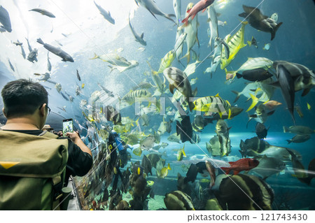 View of the fishes at the Underwater Tunnel at the National Museum of Marine Biology and Aquarium in Kenting National Park of Pingtung, Taiwan. 121743430