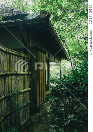 Fresh green Takiguchi Temple 121743452