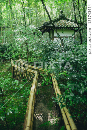 Fresh green Takiguchi Temple 121743454