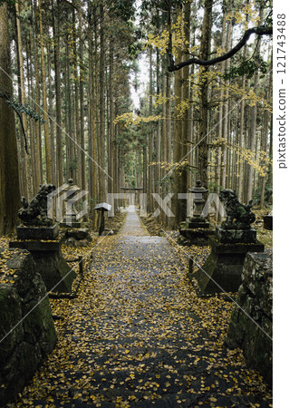 Kamo Shrine in Autumn 121743488