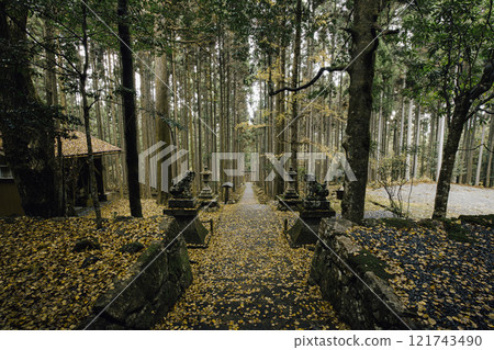 Kamo Shrine in Autumn Kamo Shrine in Autumn 121743490