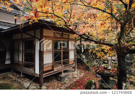 Togansuji寺廟秋葉 Togansuji寺廟秋葉 121743608
