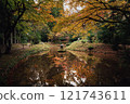 Autumn leaves of Togansuji Temple 121743611