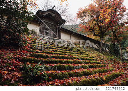 Autumn leaves of Togansuji Temple Autumn leaves of Togansuji Temple 121743612