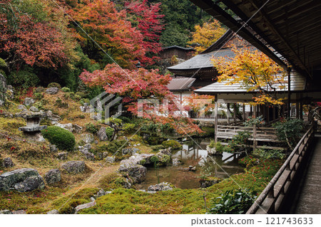 Togansuji寺廟秋葉 121743633