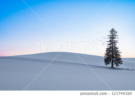 Hokkaido Biei Winter Christmas Tree 121744160